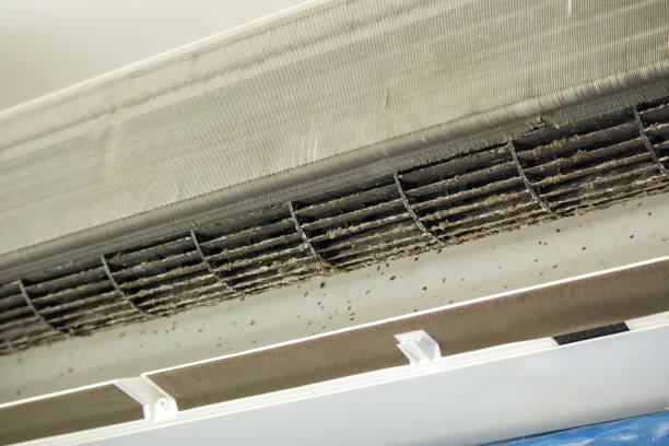 Best Residential Air Duct Cleaning  in Fordoche, LA